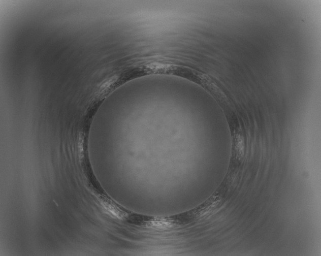 X0000057570668200509231227