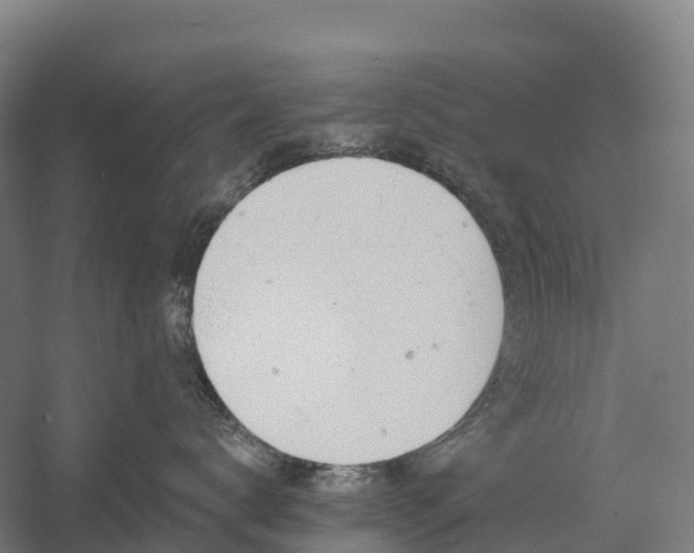 X0000057570672200509231227