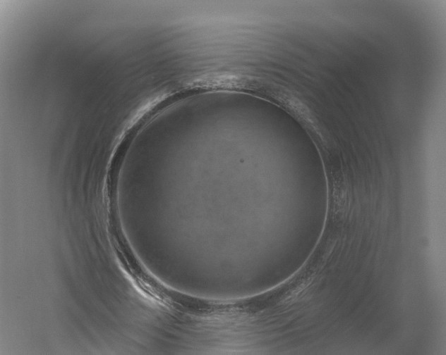 X0000057570674200509231226