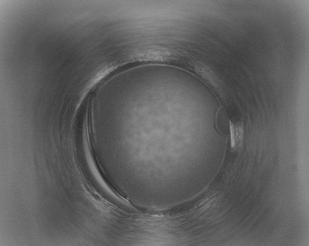 X0000057570675200509231226