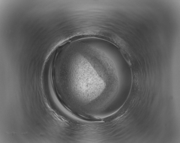 X0000057570676200509231226