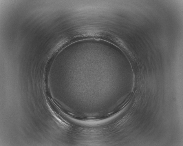 X0000057570677200509231226