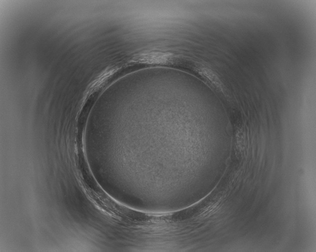 X0000057570682200509231226