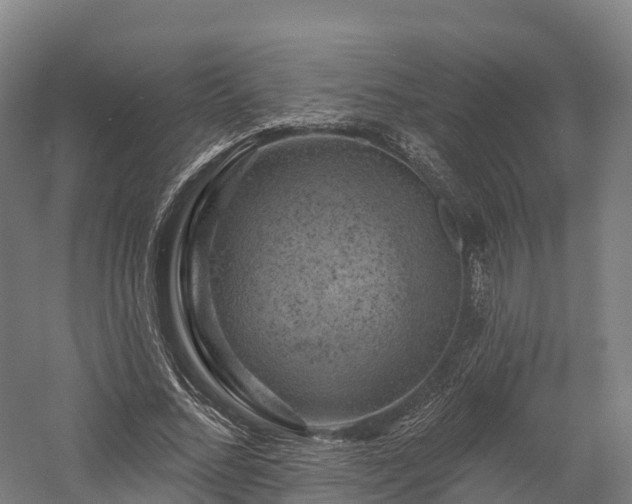 X0000057570684200509231226