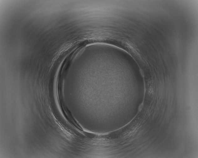 X0000057570685200509231226