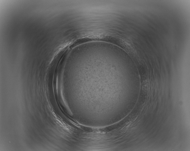 X0000057570688200509231226