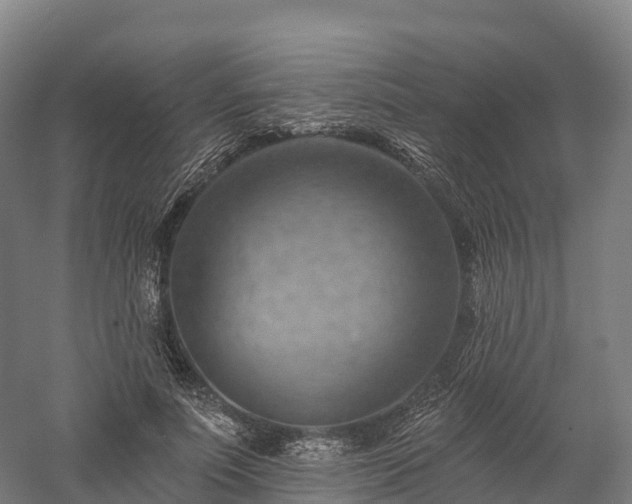 X0000057570691200509231226