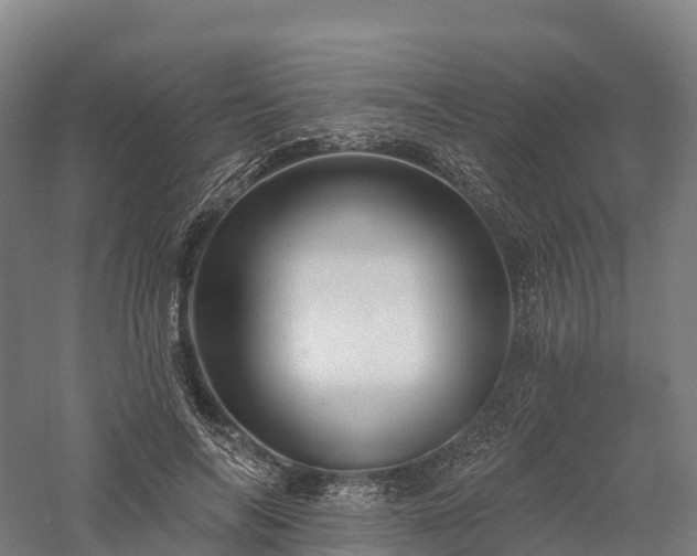 X0000057570694200509231226