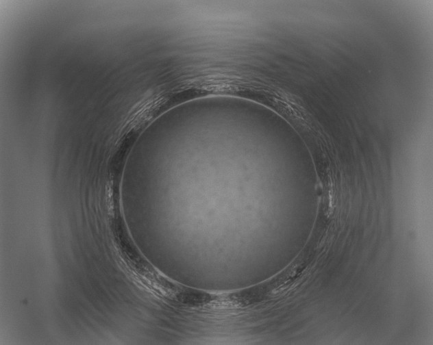 X0000057570696200509231226
