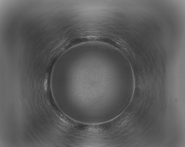 X0000057570697200509231226