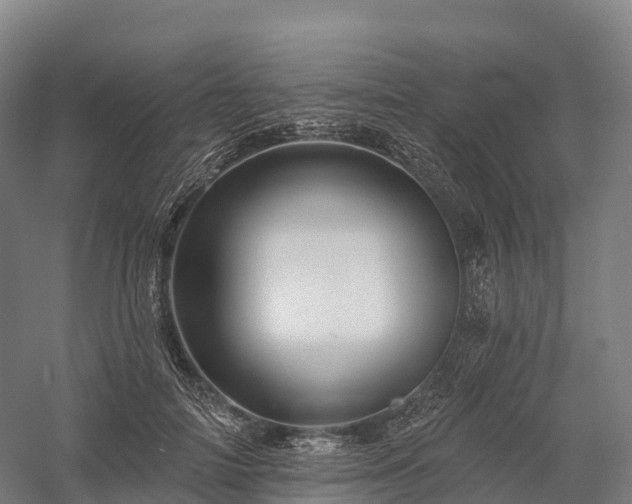 X0000057570698200509231226
