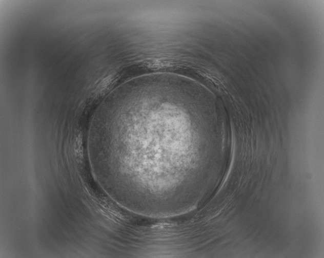 X0000057570700200509231226