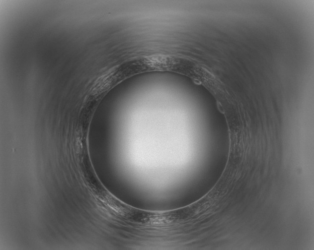 X0000057570702200509231226