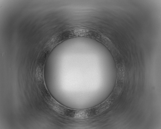 X0000057570705200509231226