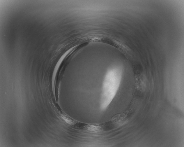 X0000057570718200509231225