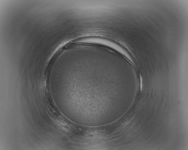 X0000057570723200509231224