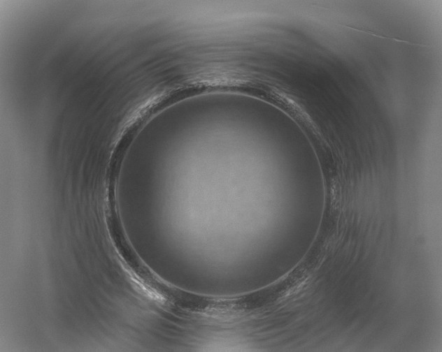 X0000057570725200509231225