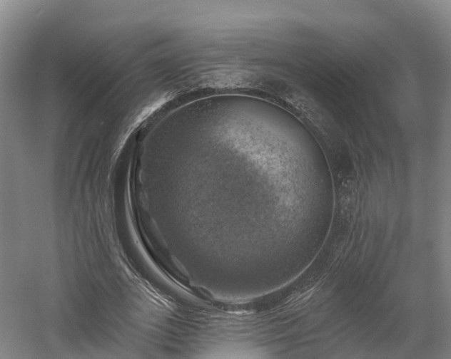 X0000057570727200509231225
