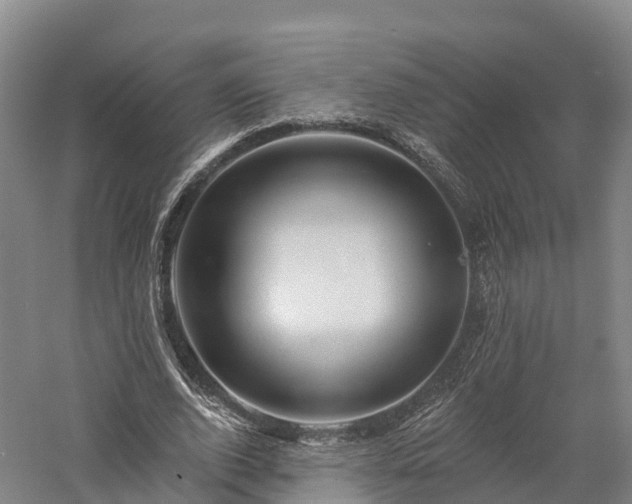 X0000057570728200509231225