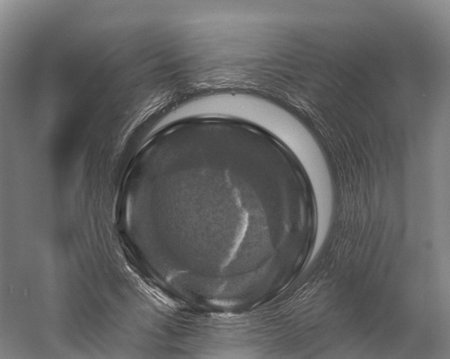 X0000057570735200509231225