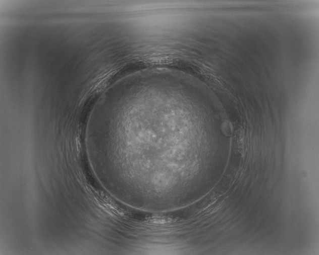 X0000057570746200509231225