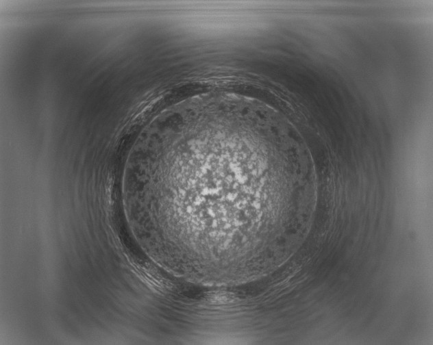 X0000057570750200509231225