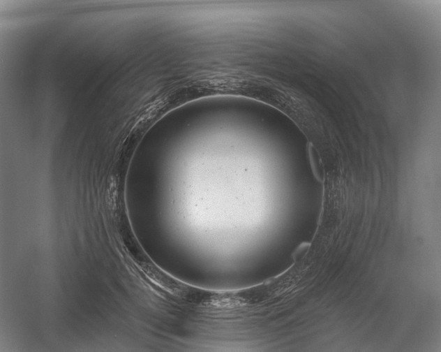 X0000057570752200509231225