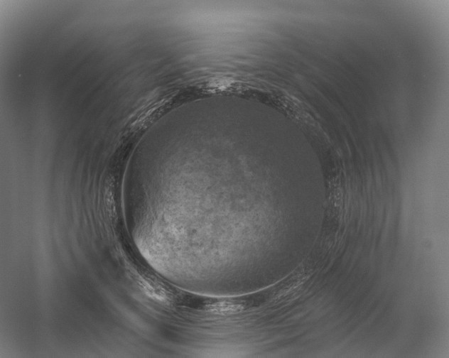 X0000057570754200509231225