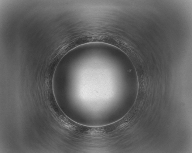 X0000057570756200509231225