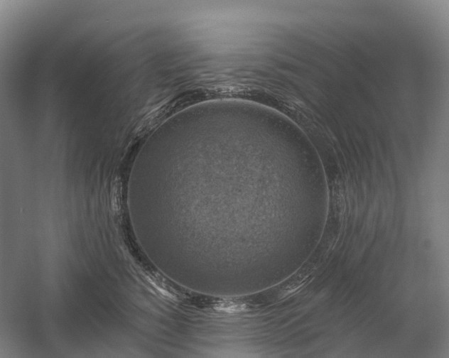 X0000057570760200509231225