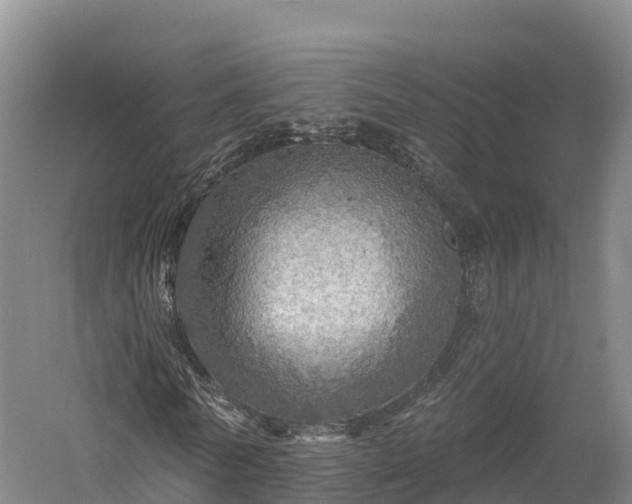 X0000057570770200509231224