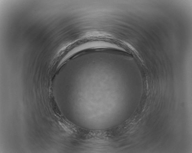 X0000057570775200509231224