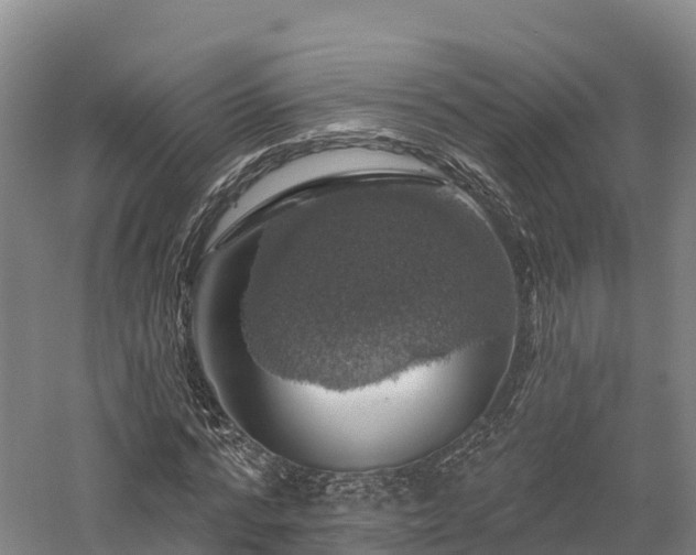 X0000057570776200509231224