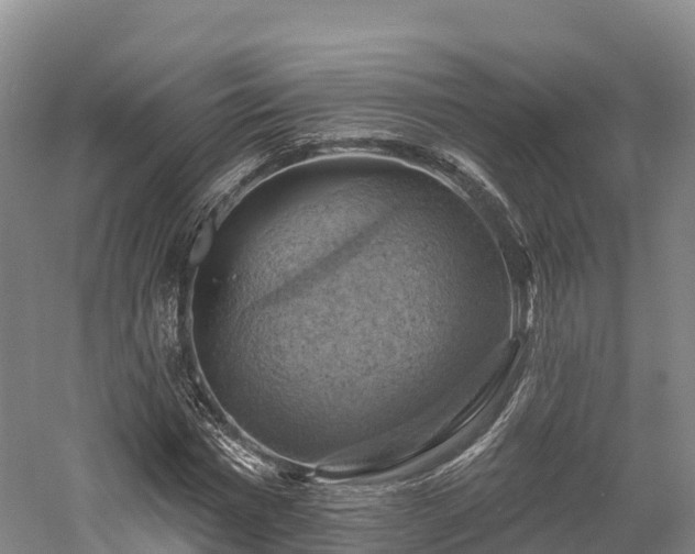 X0000057570777200509231224