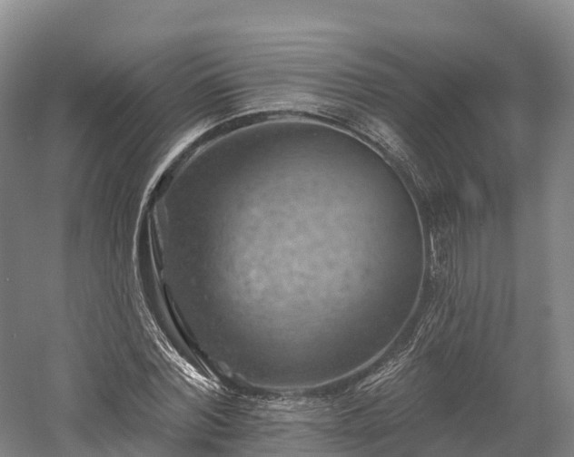 X0000057570780200509231224
