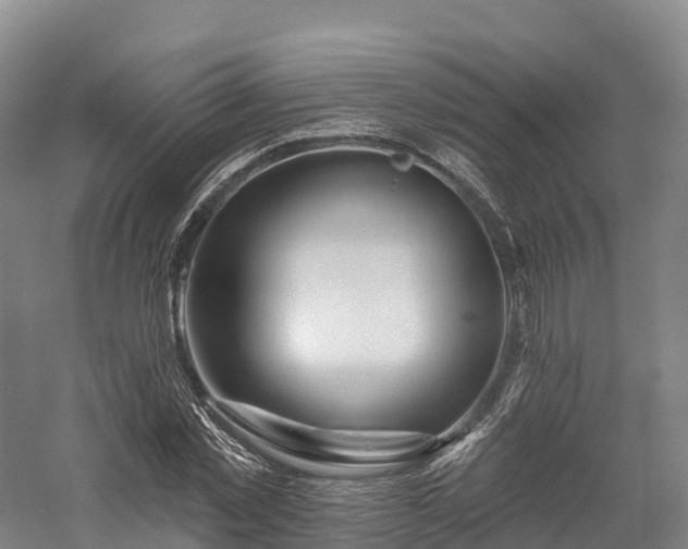 X0000057570781200509231224