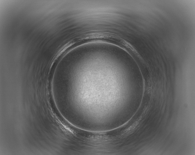 X0000057570786200509231224