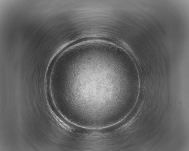 X0000057570787200509231224