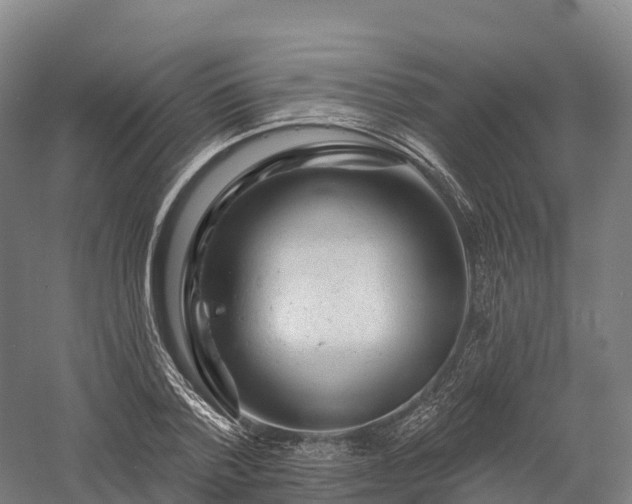X0000057570788200509231224