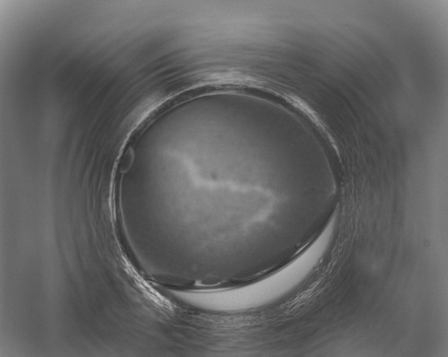 X0000057570791200509231224