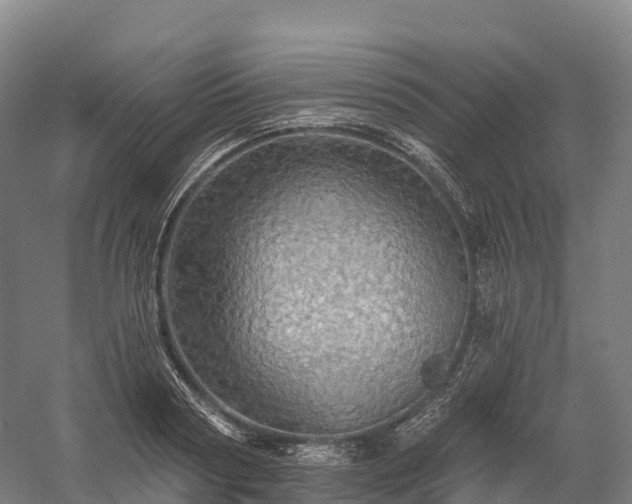 X0000057570794200509231224