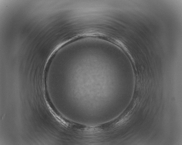 X0000057570795200509231224