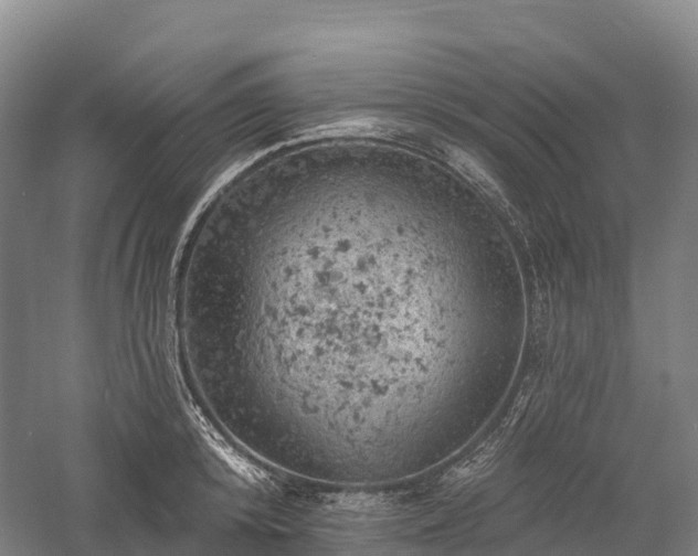 X0000057570800200509231224