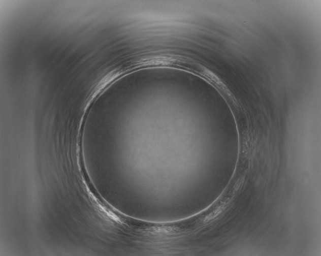 X0000057570802200509231224