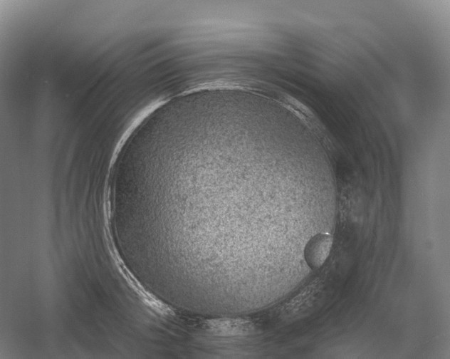 X0000057570804200509231224