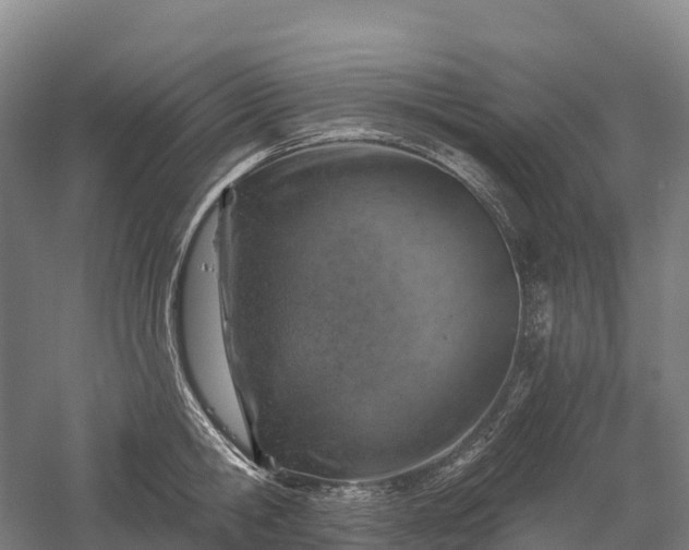 X0000057570806200509231224