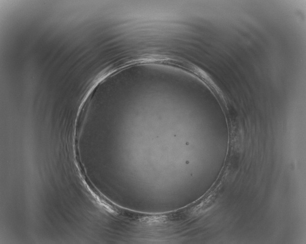 X0000057570810200509231224