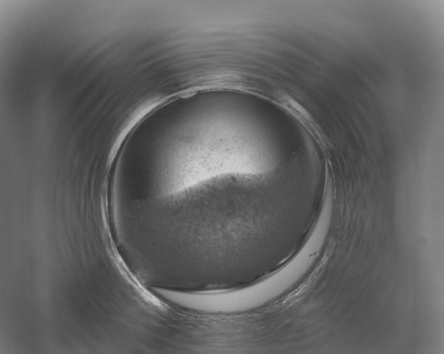 X0000057570812200509231224