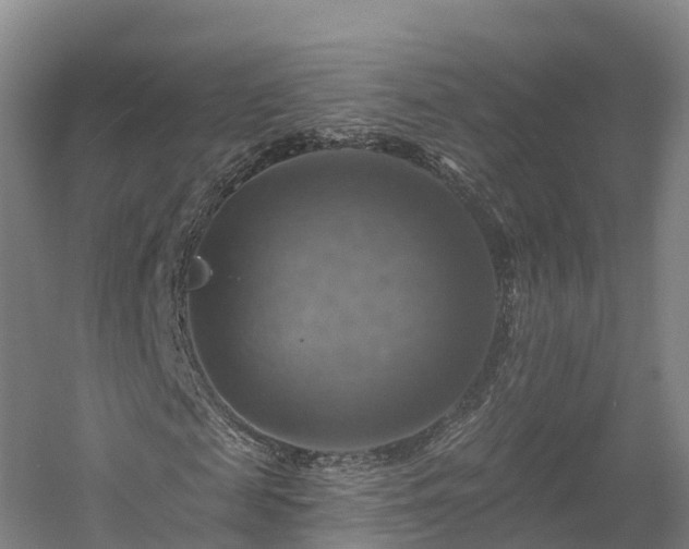 X0000057570817200509231223