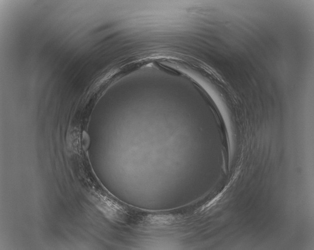 X0000057570825200509231223